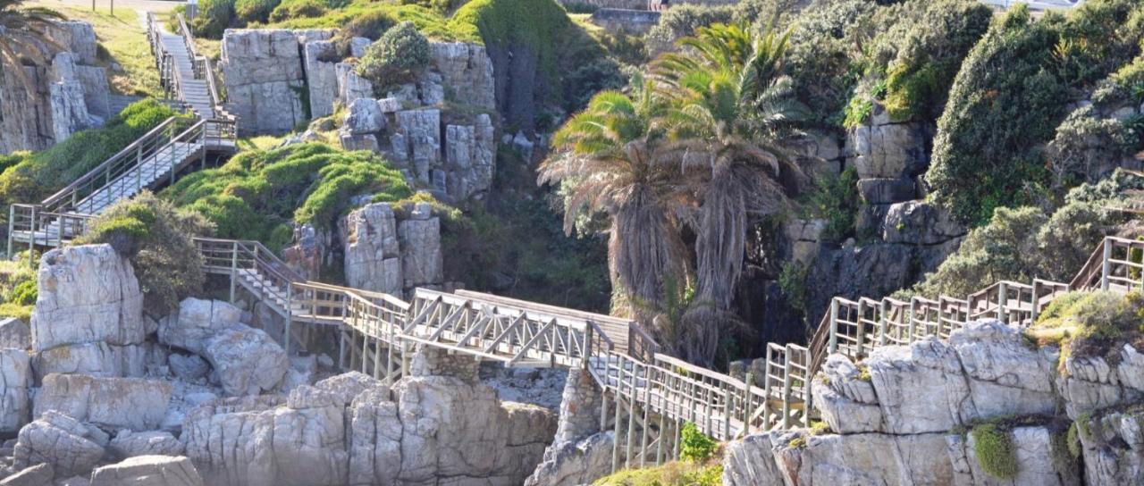 Hermanus Haven, Entire Home, On The Sea, Private Pool, Secure Bagian luar foto